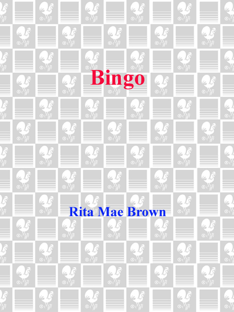 Cover image for book Bingo