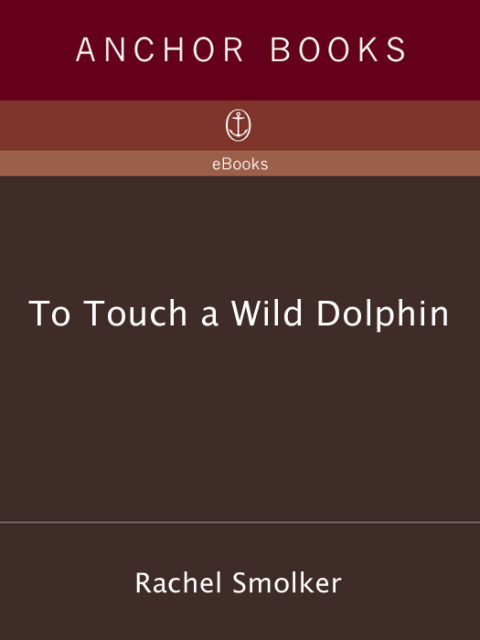 Cover image for book To Touch a Wild Dolphin