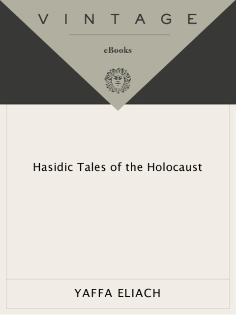 Cover image for book Hasidic Tales of the Holocaust