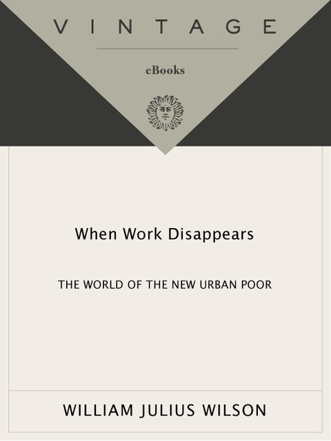 Cover image for book When Work Disappears