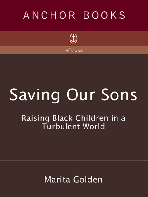 Cover image for book Saving Our Sons
