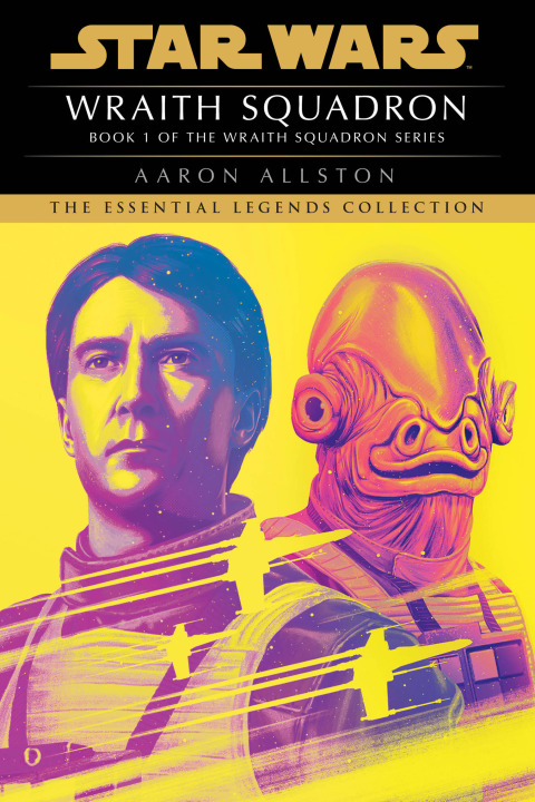 Cover image for book Wraith Squadron: Star Wars Legends (Wraith Squadron)