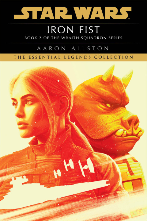 Cover image for book Iron Fist: Star Wars Legends (Wraith Squadron)