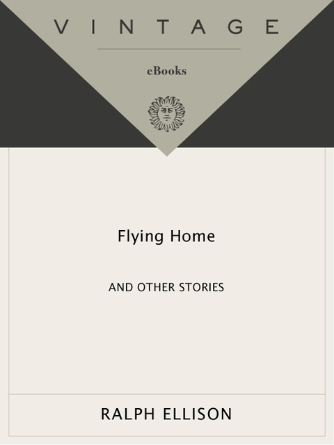 Cover image for book Flying Home