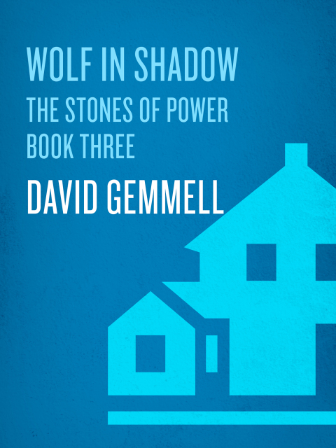 Cover image for book Wolf in Shadow