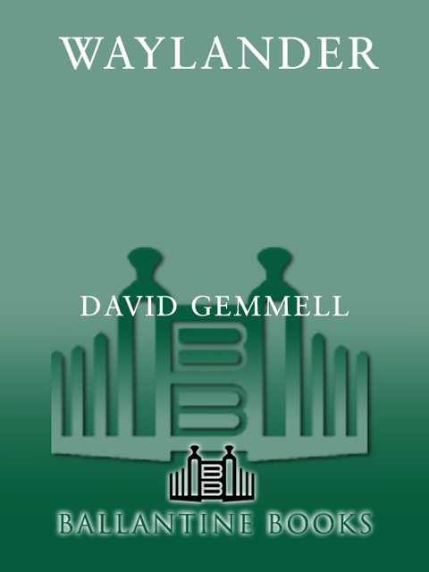 Cover image for book Waylander