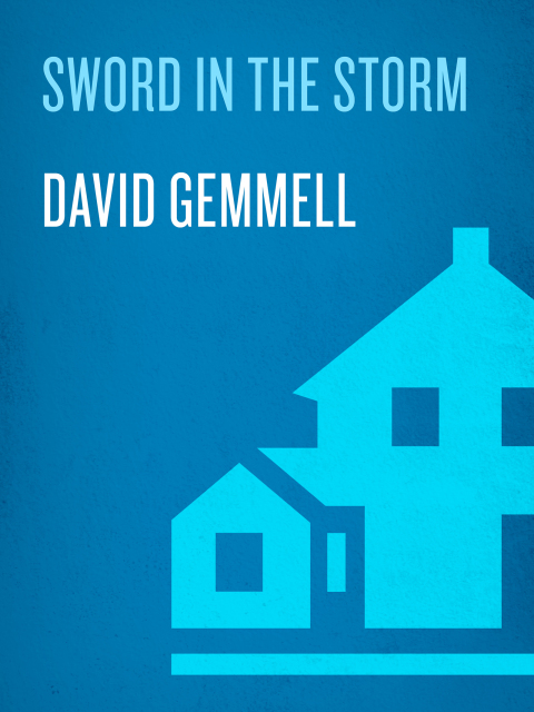 Cover image for book Sword in the Storm