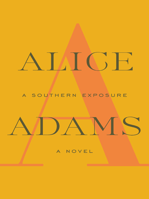Cover image for book A Southern Exposure