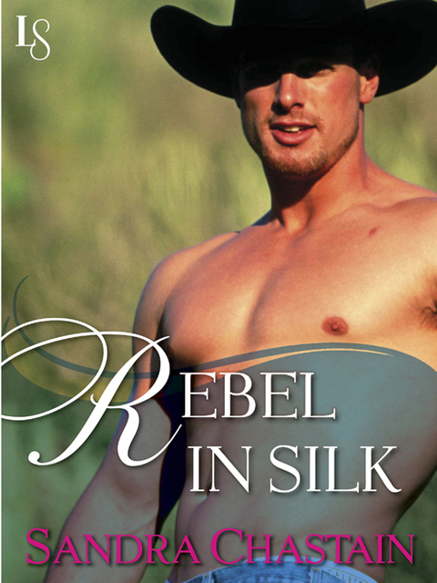 Cover image for book Rebel in Silk