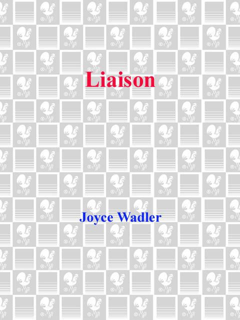 Cover image for book LIAISON