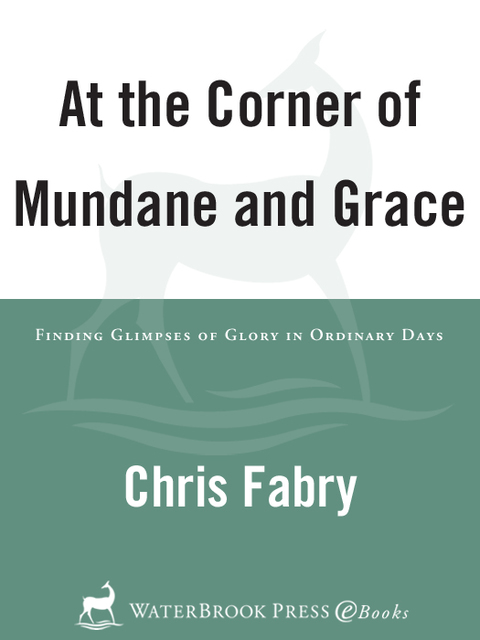 Cover image for book At the Corner of Mundane and Grace