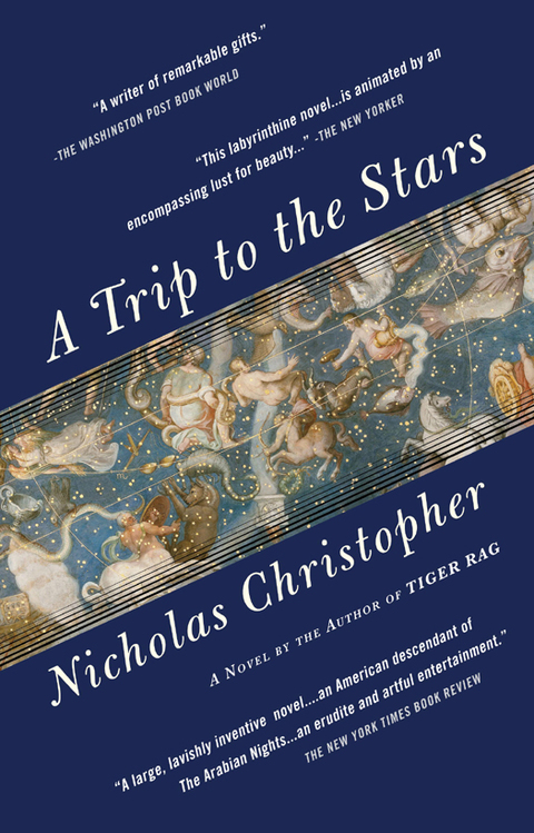 Cover image for book A Trip to the Stars