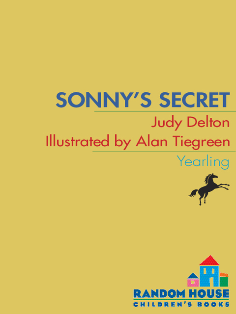 Cover image for book Sonny's Secret