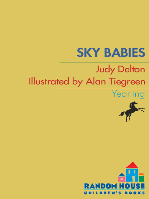 Cover image for book Sky Babies
