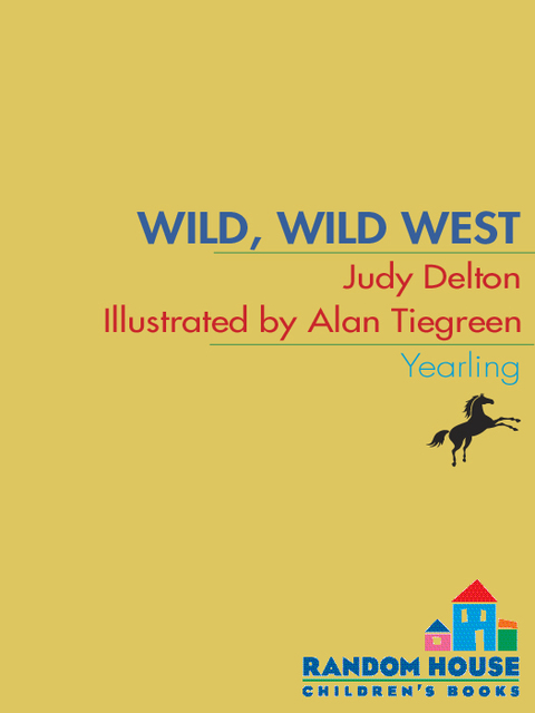 Cover image for book Pee Wee Scouts: Wild, Wild West