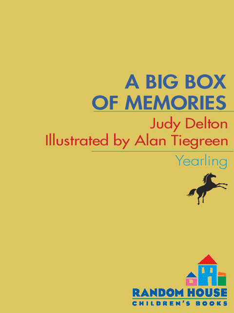 Cover image for book Pee Wee Scouts: A Big Box of Memories