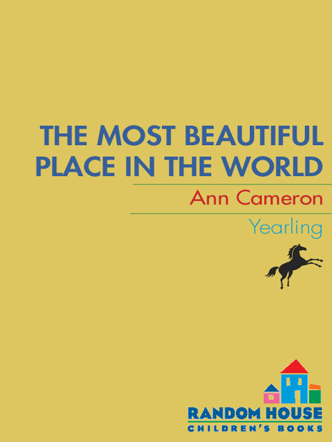 Cover image for book The Most Beautiful Place in the World