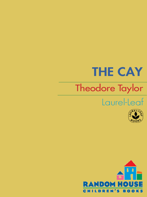 Cover image for book The Cay