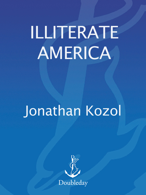 Cover image for book Illiterate America