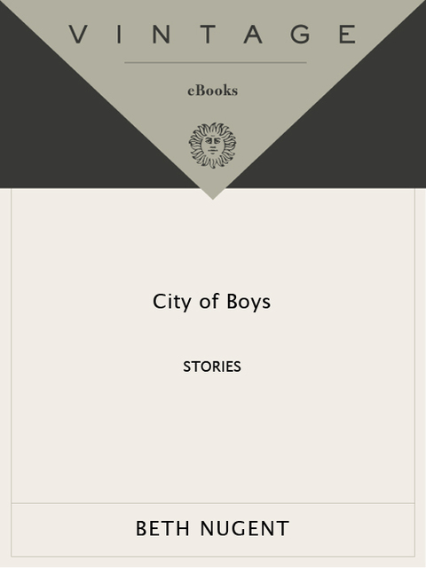 Cover image for book City of Boys