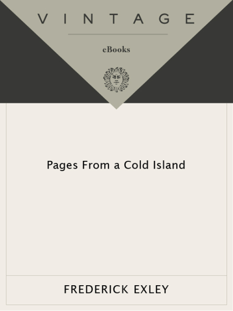 Cover image for book Page from a Cold Island