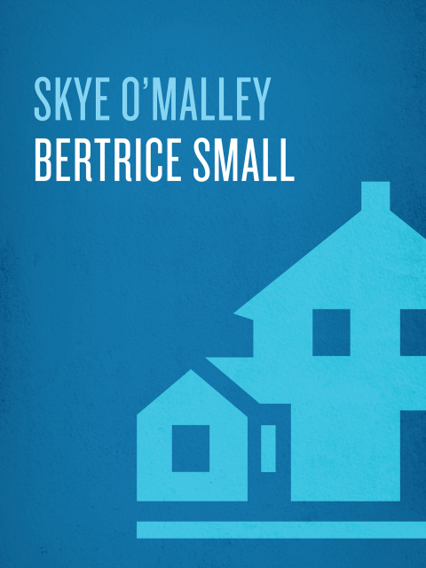 Cover image for book Skye O'Malley