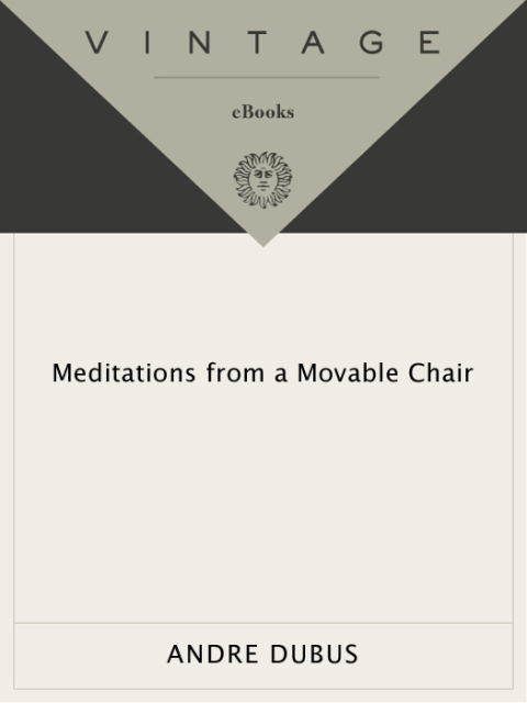Cover image for book Meditations from a Movable Chair