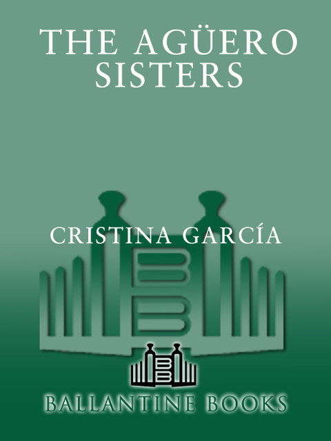 Cover image for book The Aguero Sisters