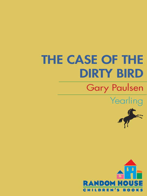 Cover image for book The Case of the Dirty Bird