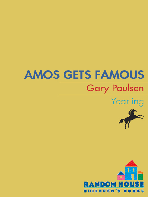 Cover image for book AMOS GETS FAMOUS