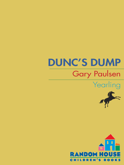 Cover image for book DUNC'S DUMP