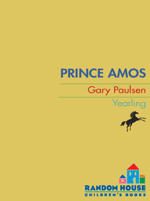 Cover image for book PRINCE AMOS