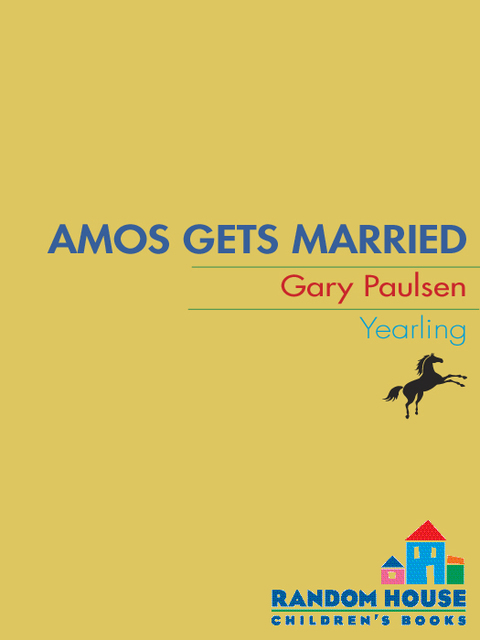 Cover image for book Amos Gets Married