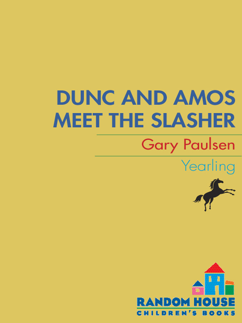 Cover image for book DUNC AND AMOS MEET THE SLASHER