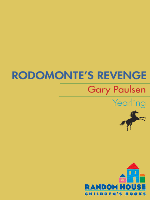 Cover image for book RODOMONTE'S REVENGE