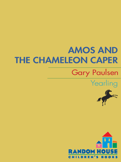 Cover image for book AMOS AND THE CHAMELEON CAPER