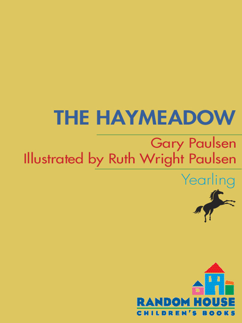 Cover image for book The Haymeadow