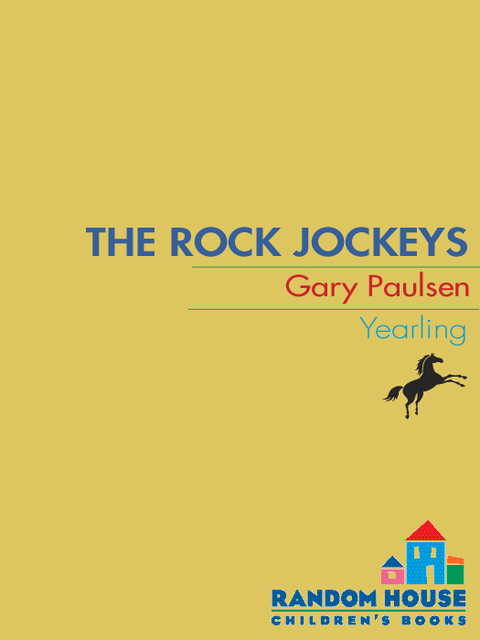 Cover image for book The Rock Jockeys