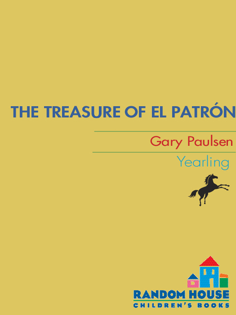 Cover image for book The Treasure of El Patron