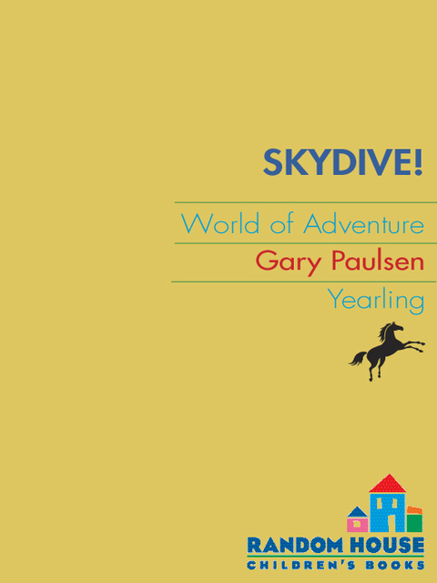 Cover image for book SKYDIVE