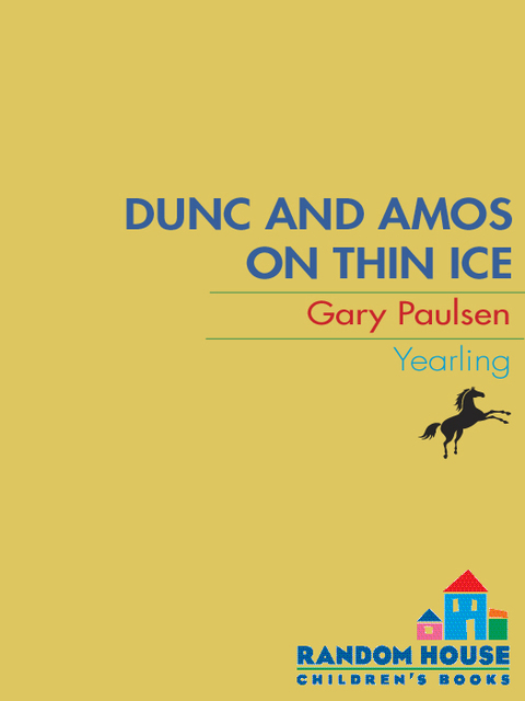 Cover image for book DUNC AND AMOS ON THIN ICE (CULPEPPER ADVENTURES #29)
