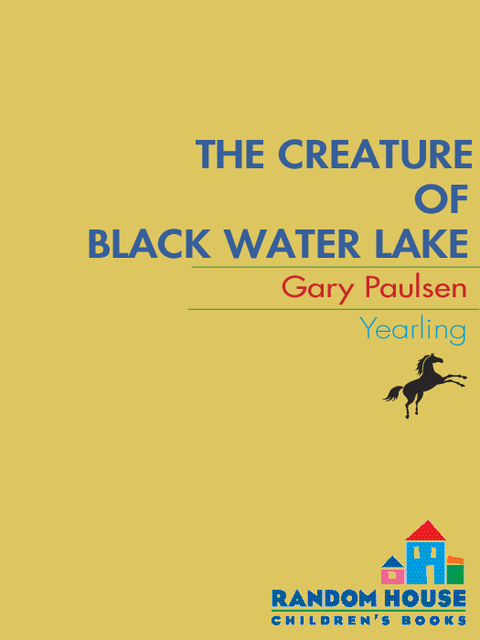 Cover image for book The Creature of Black Water Lake