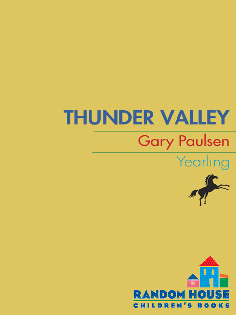 Cover image for book THUNDER VALLEY