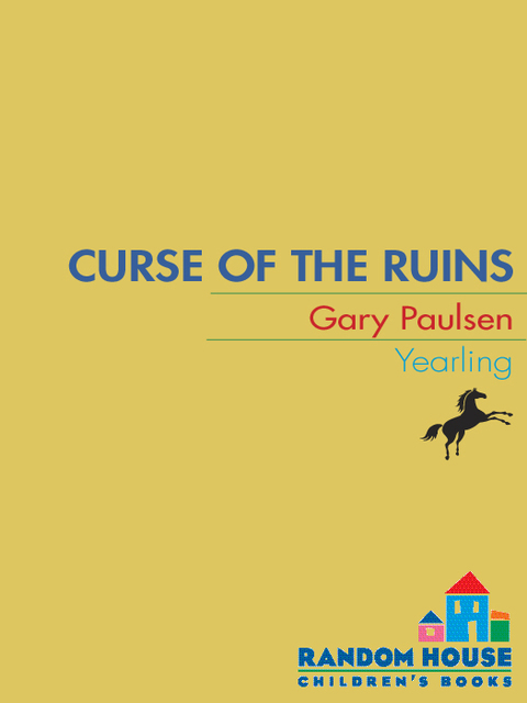 Cover image for book Curse of the Ruins