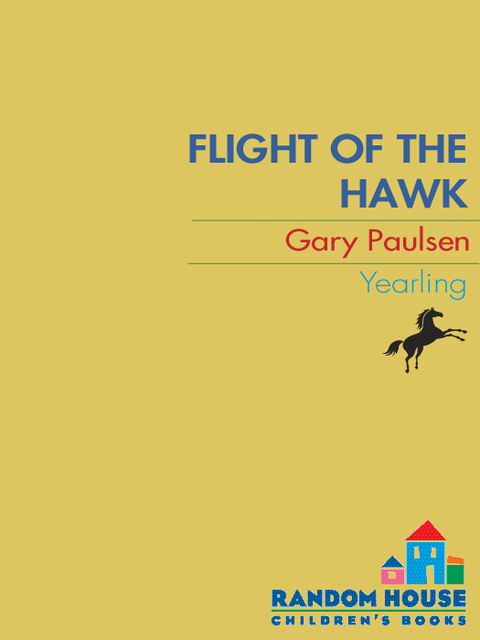 Cover image for book Flight of the Hawk