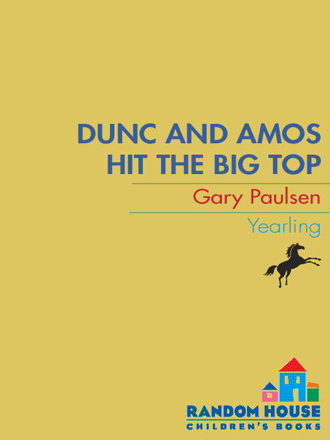 Cover image for book DUNC AND AMOS HIT THE BIG TOP