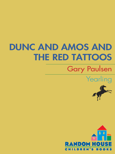 Cover image for book DUNC AND AMOS AND THE RED TATTOOS