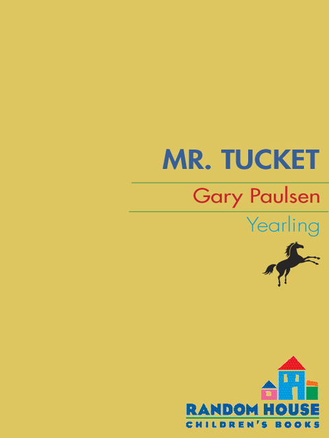 Cover image for book Mr. Tucket