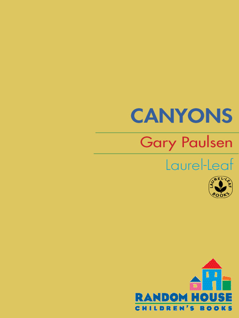 Cover image for book Canyons