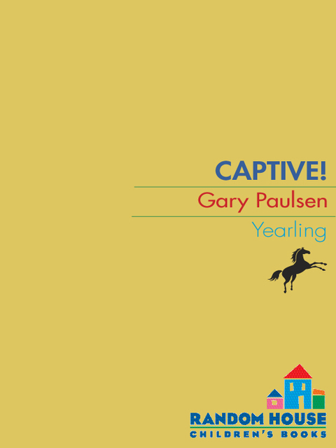Cover image for book Captive!
